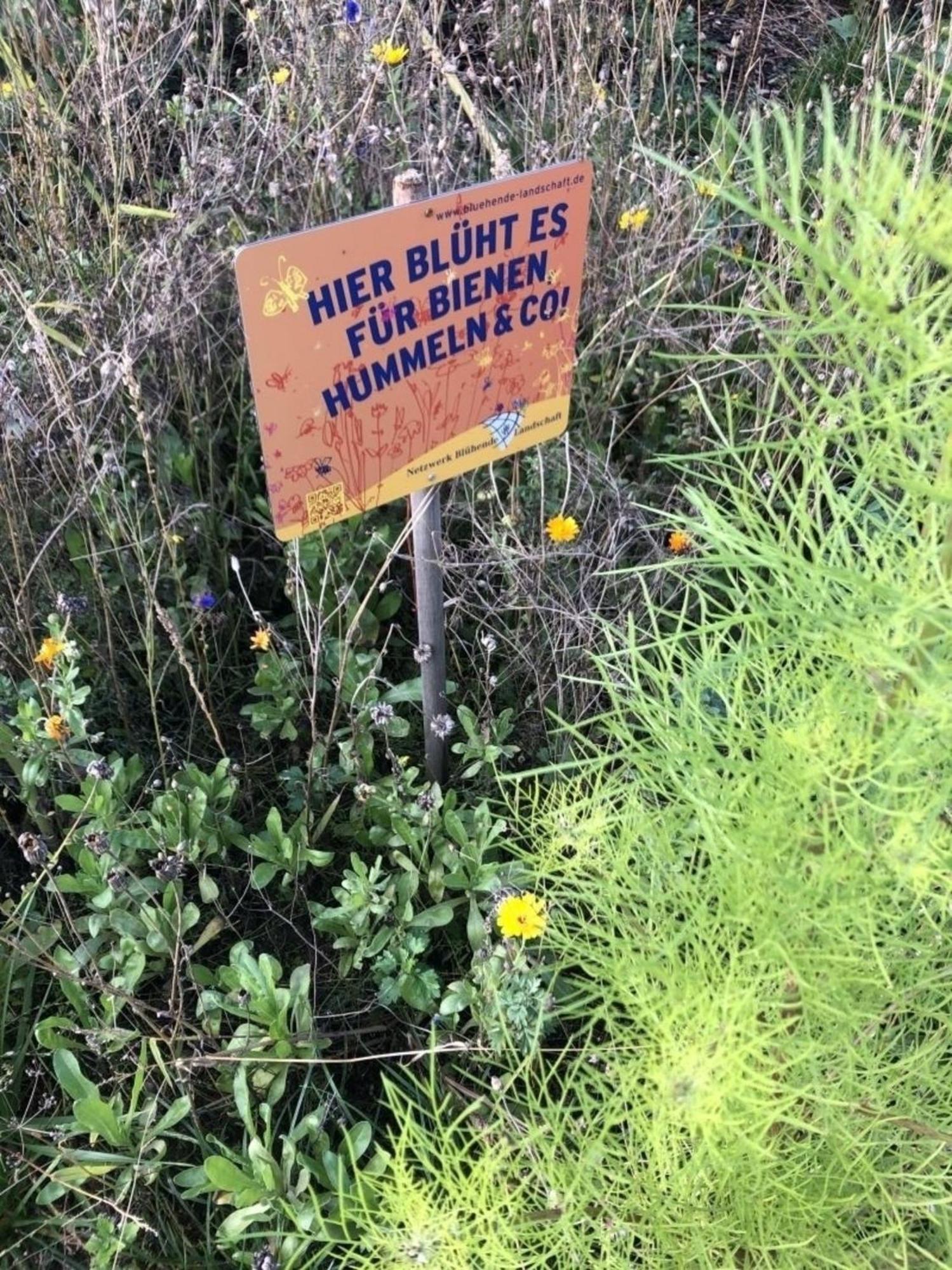Meeresperle 2 Leuchtturm Klutz Bagian luar foto